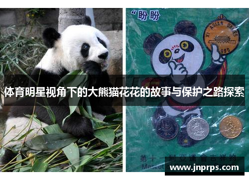 体育明星视角下的大熊猫花花的故事与保护之路探索